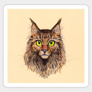 Maine Coon Sticker